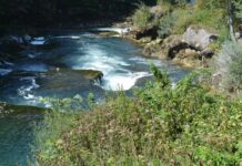 Widespread Social Unrest